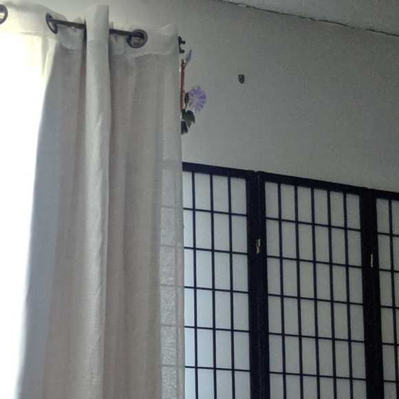 Meet your Posher, Lisa - Picture 1 of 1